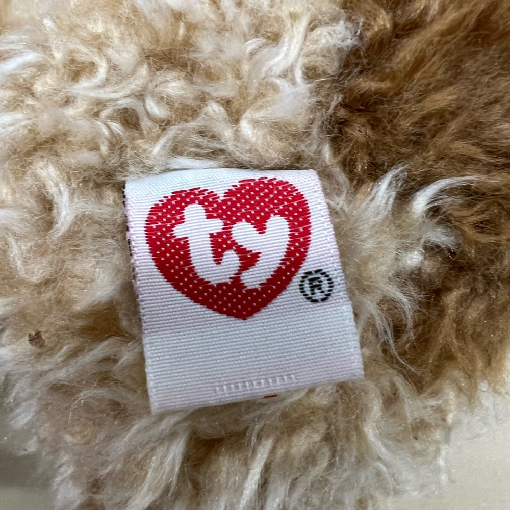 TAFFY The Terrier  - Ty Beanie Baby - Picture 6 of 7